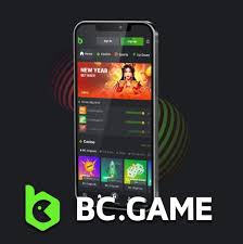 Exploring Payment Methods at BC Game A Comprehensive Guide -2108772527